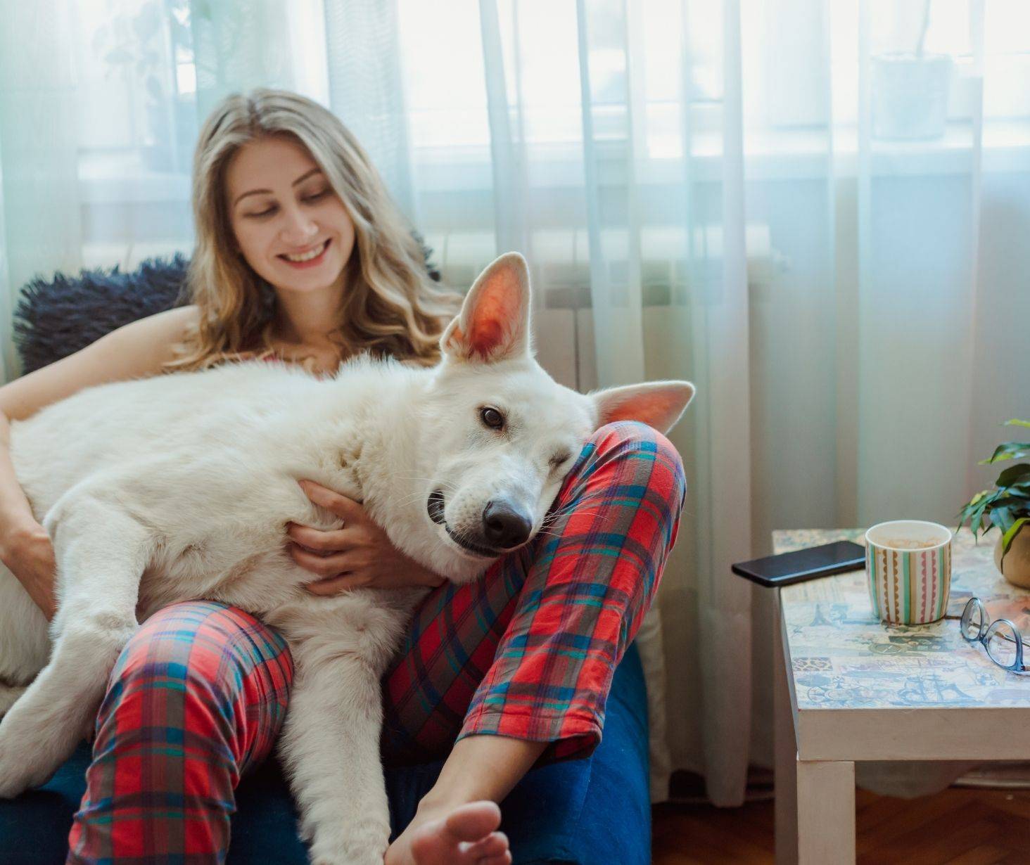 benefits of having a dog - boost self-esteem