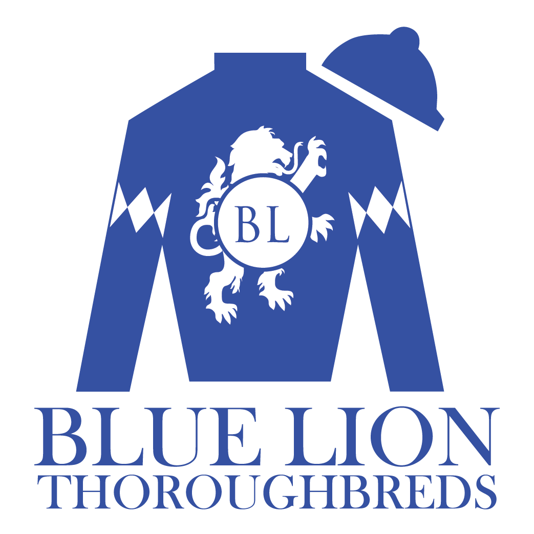 Blue Lion Thoroughbreds
