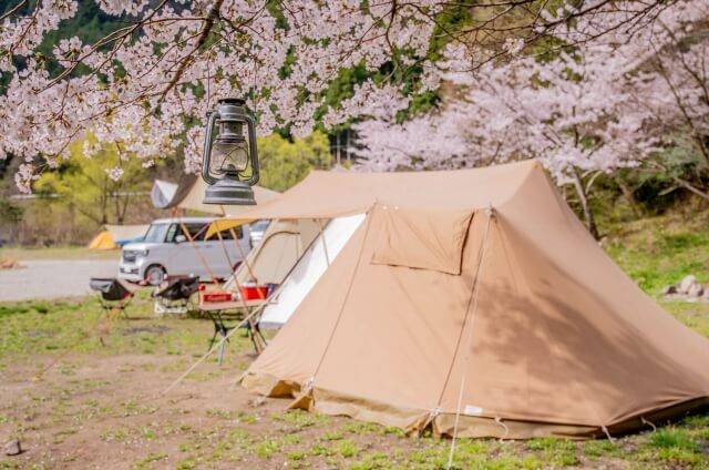 【2023年最新版】桜が見えるキャンプ場15選！桜が綺麗な場所でお花見を楽しもう