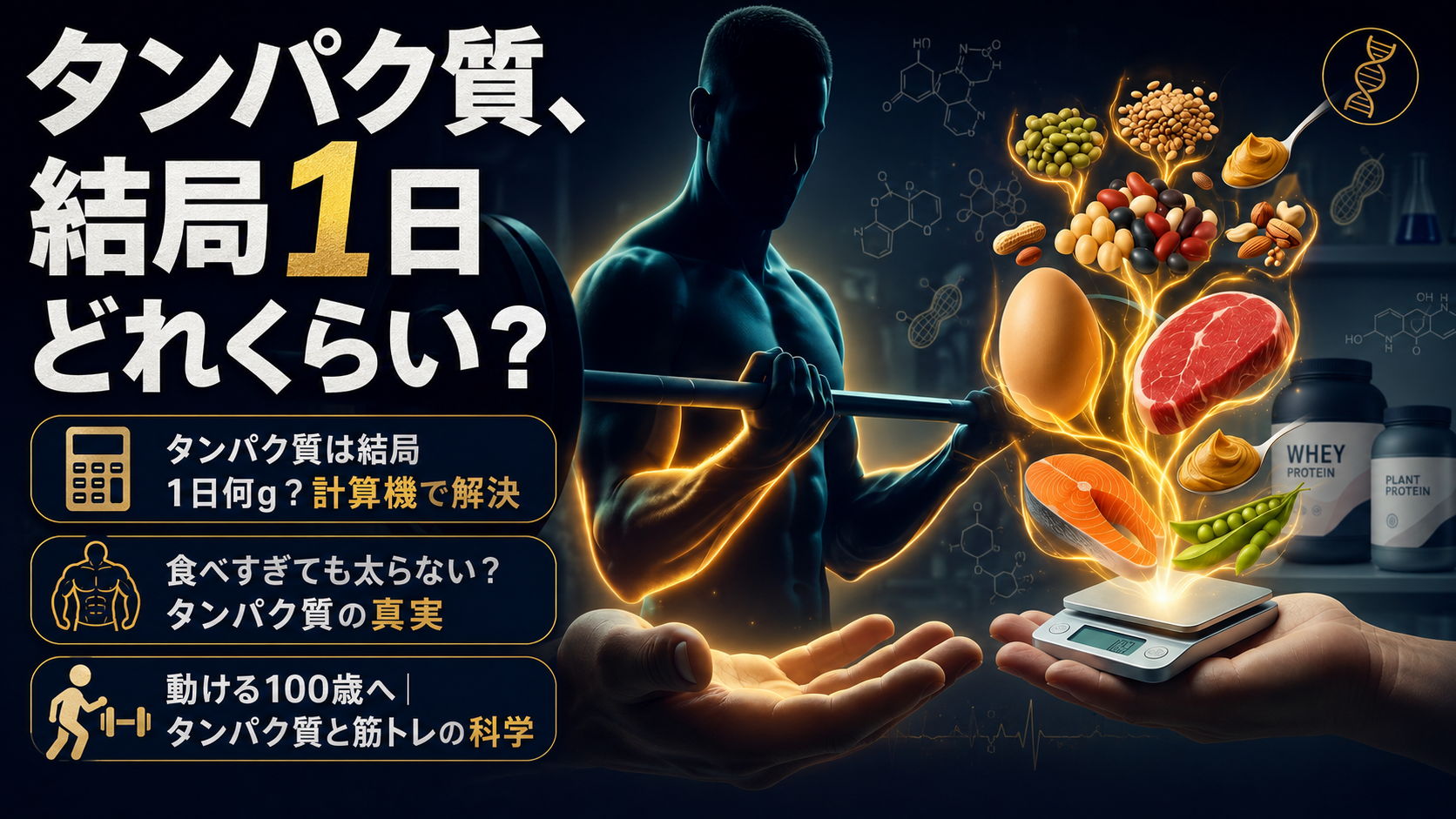 タンパク質1日の摂取量