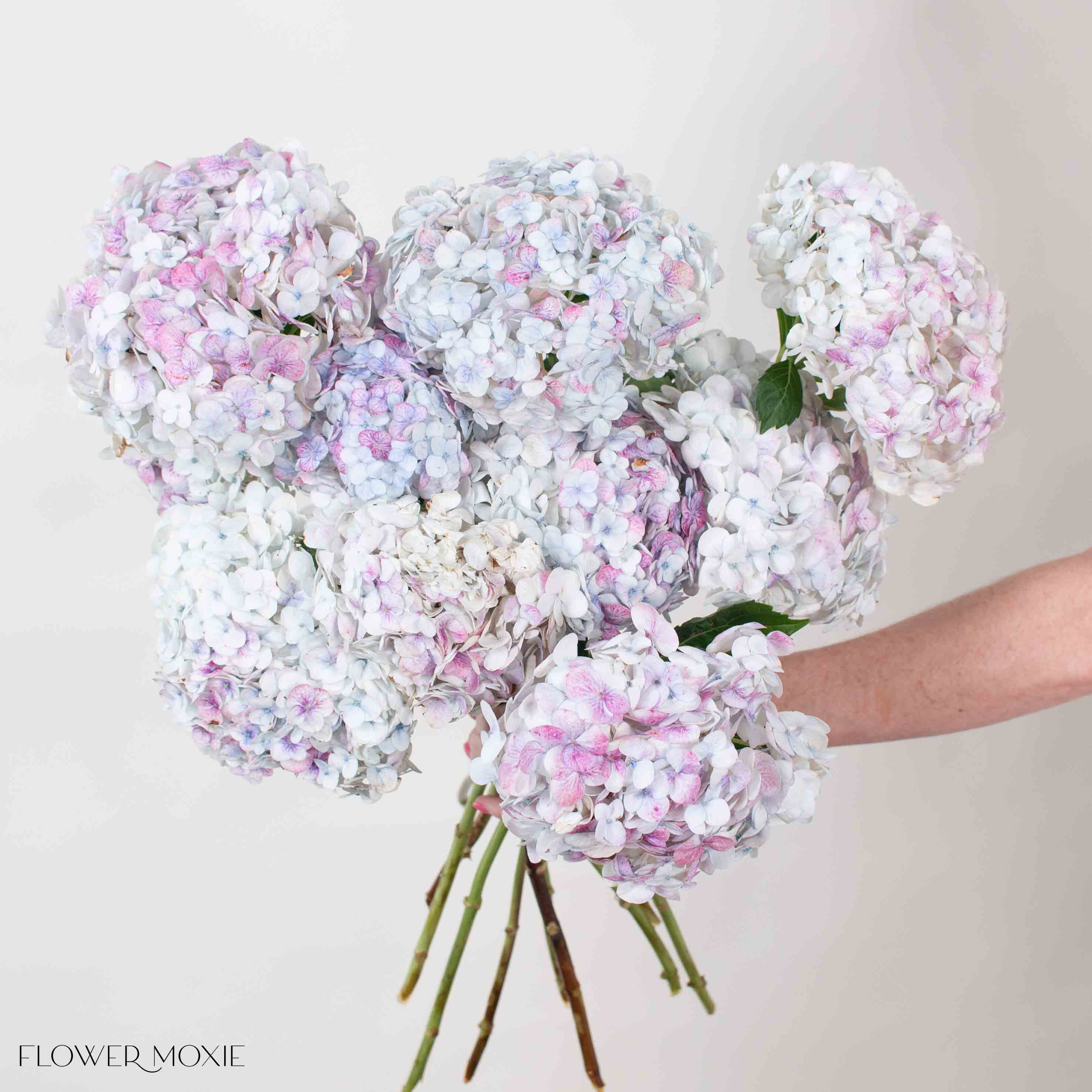 Antique Hydrangea Rose Pink Blue