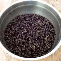 A pot of elderberry on the stove