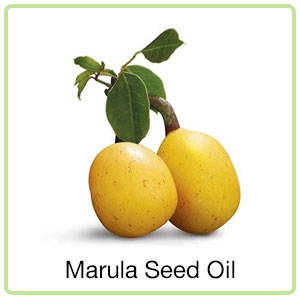 marula seed oil