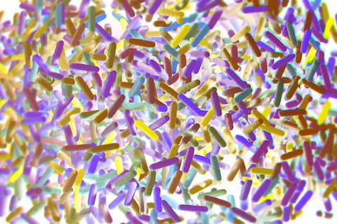3D illustration of bacteria in the gut microbiome