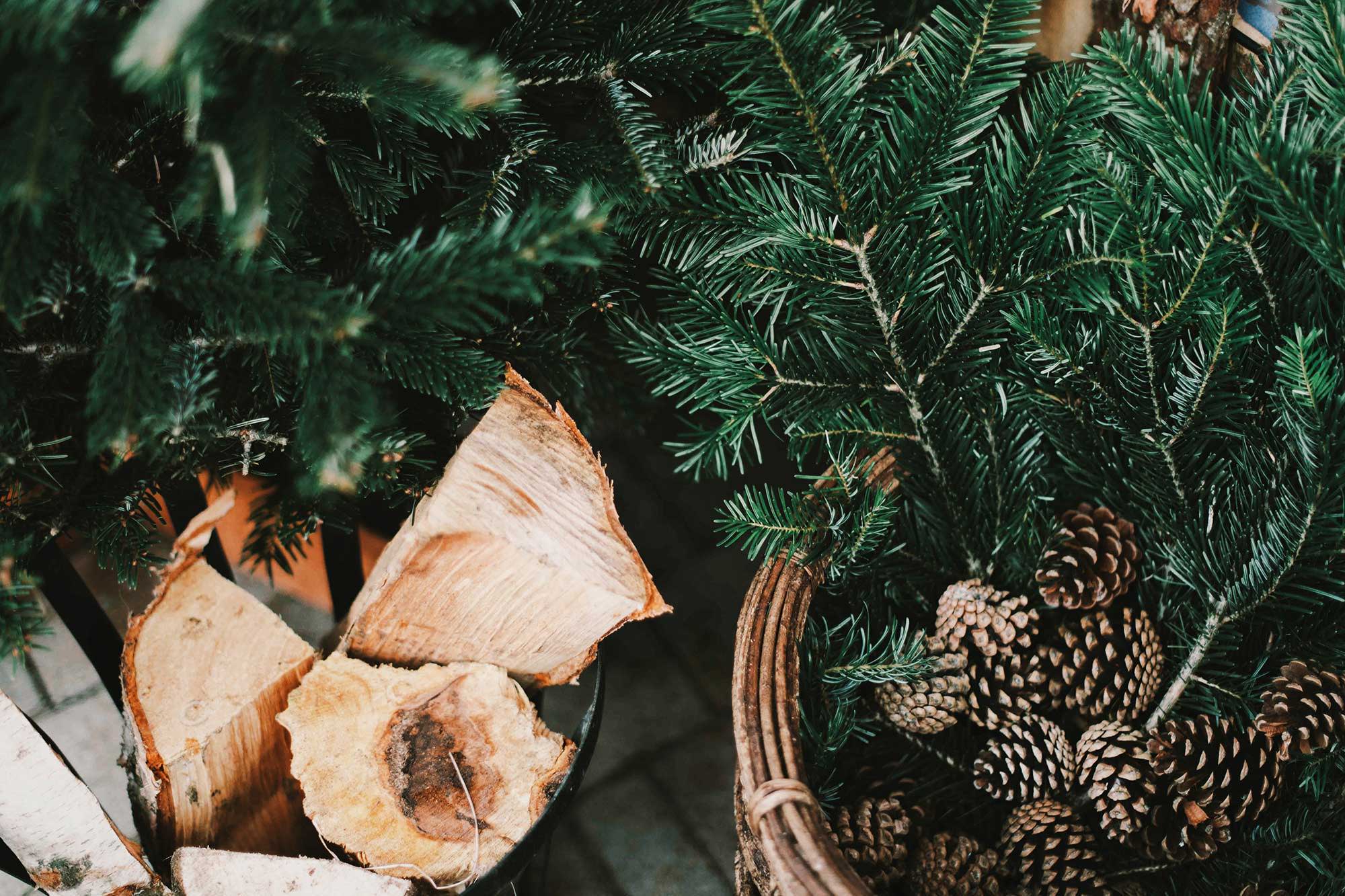 cut wood, acorns and fir branches in baskets