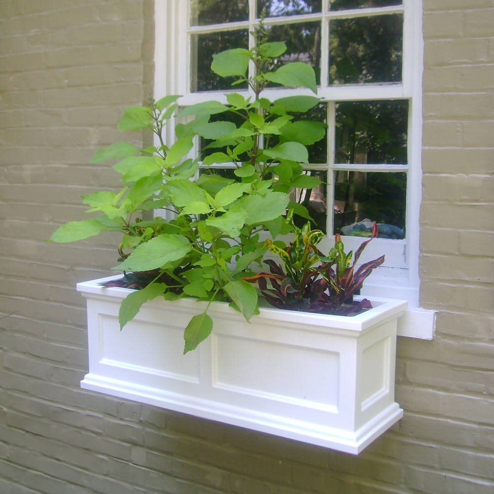 Plants growing in a white flower window box