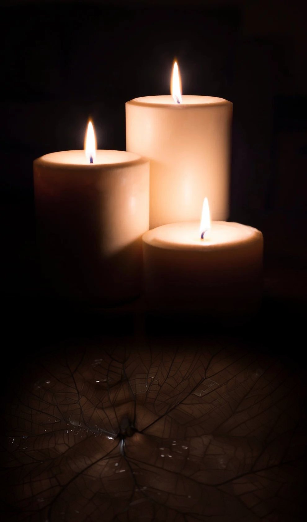 Three lit ivory beeswax pillar candles in the dark