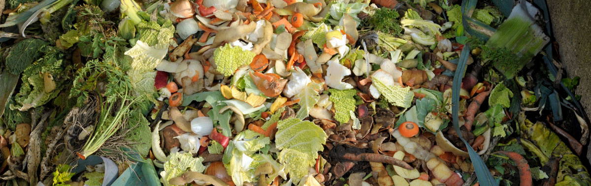 Vegetable food waste