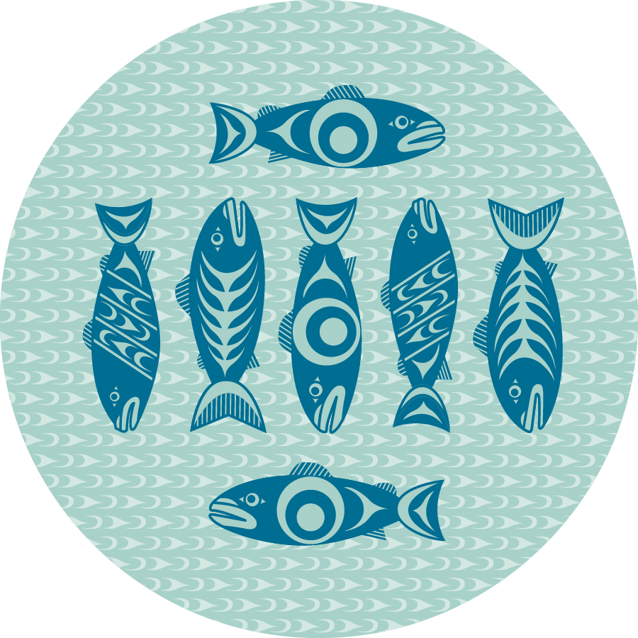 Salmon in the Wild