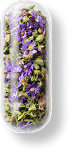 Capsule filled with dried purple flowers and herbs.