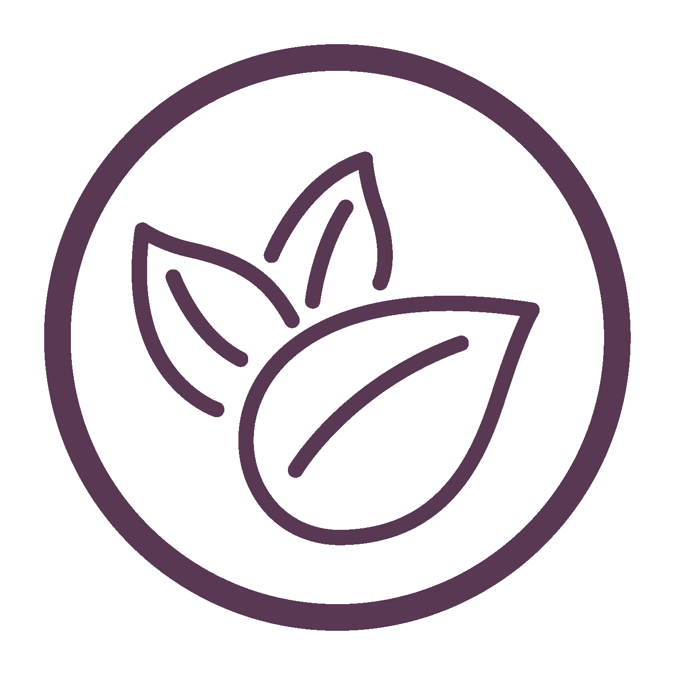 Paraben Free