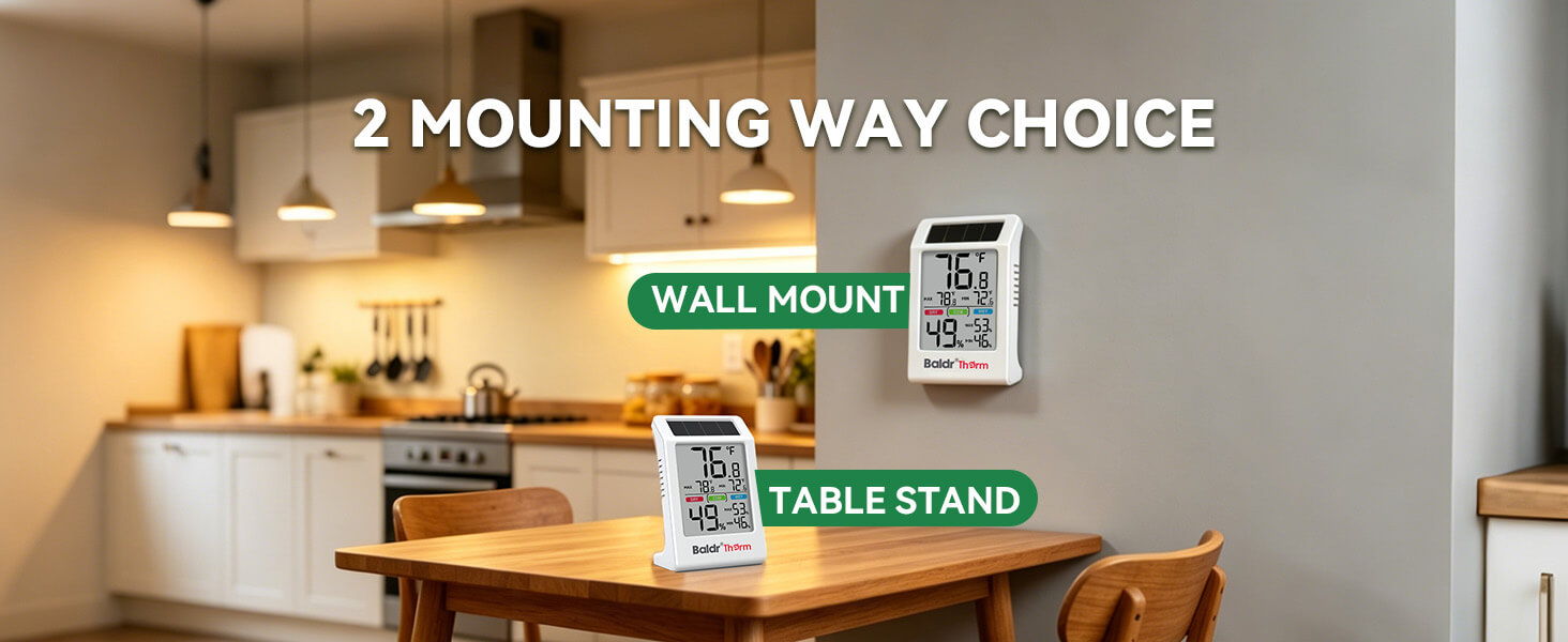 Image showing two mounting options: wall mount and table stand.