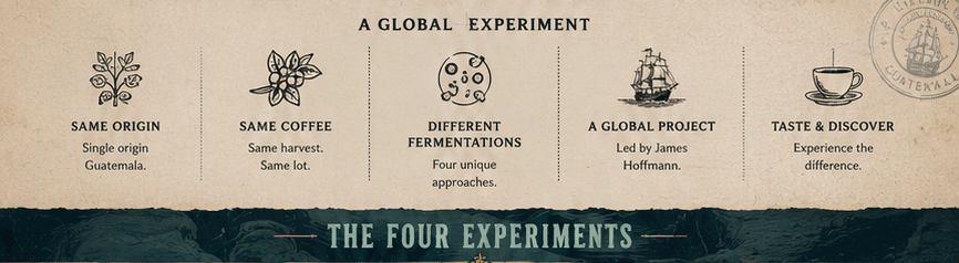 A GLOBAL EXPERIMENT
