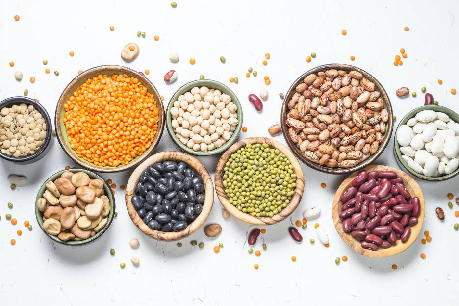 gut healthy proteins and beans