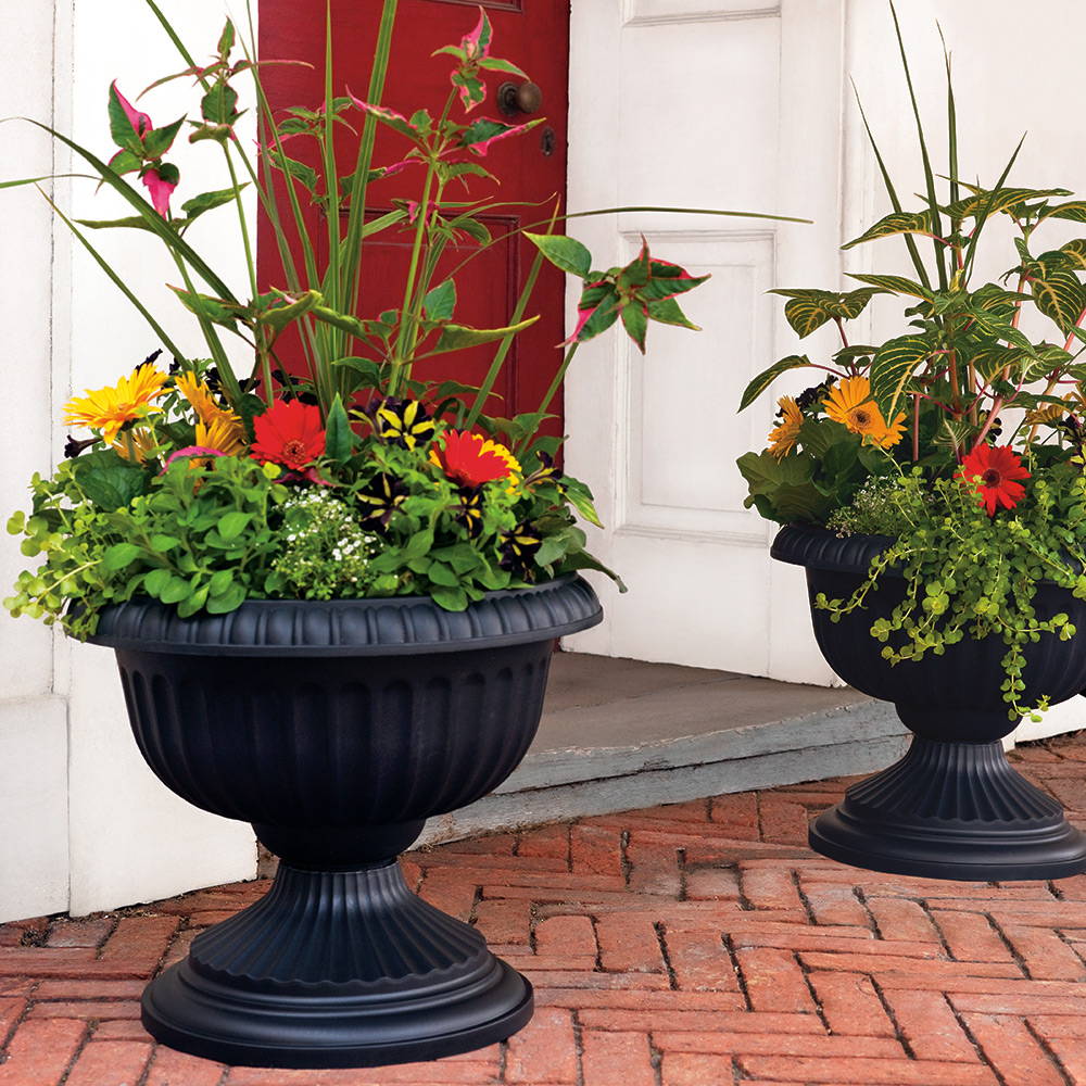 2 black grecian urns with flowers growing in them