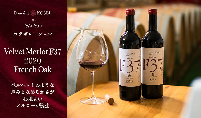 276本限定！ドメーヌ・コーセイ×wa-syuのコラボレーションワイン『Velvet Merlot F37 2020 French Oak』