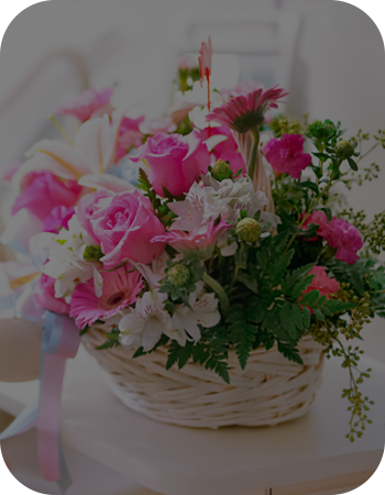 Shop Fresh Flowers and Floral Arrangements
