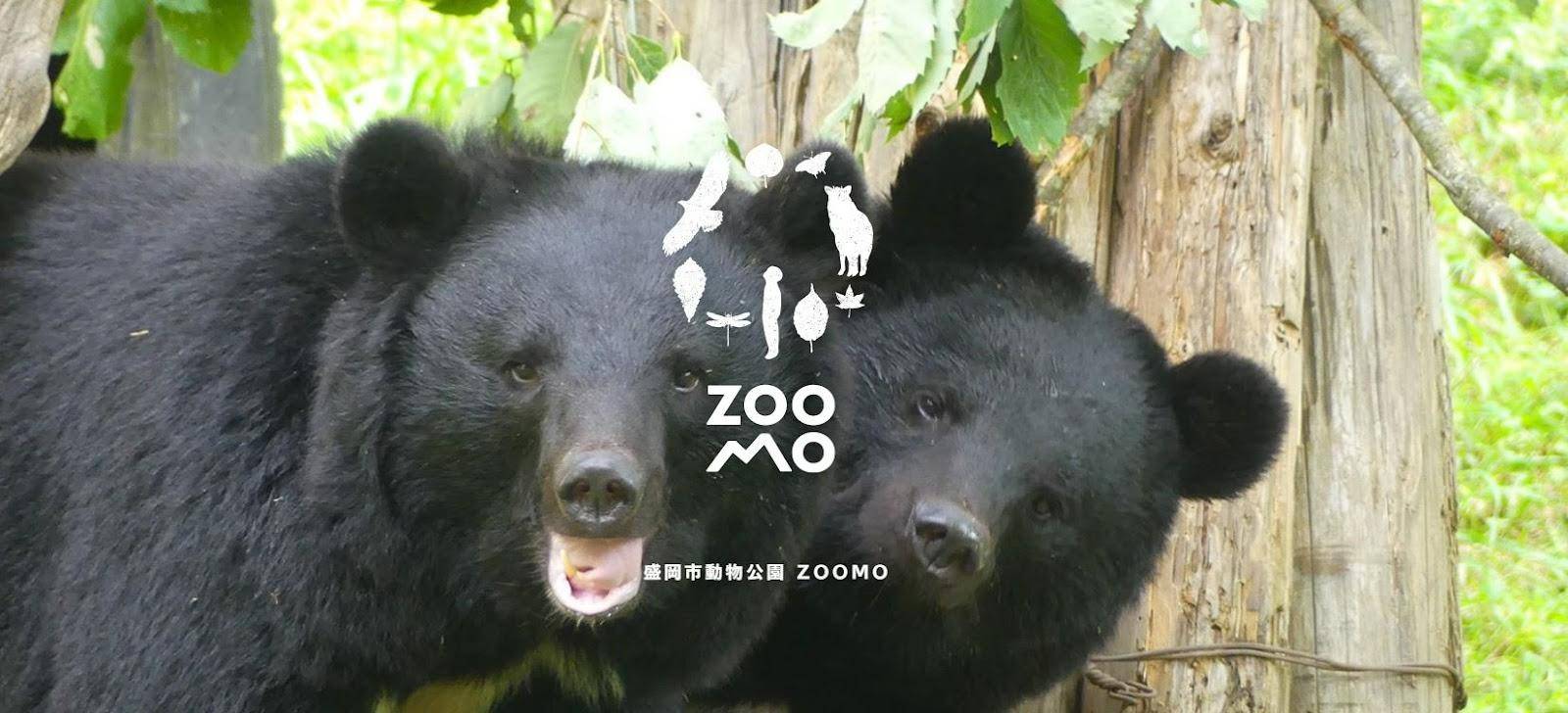 夏休みのお出かけスポットー【岩手県】盛岡市動物公園ZOOMO