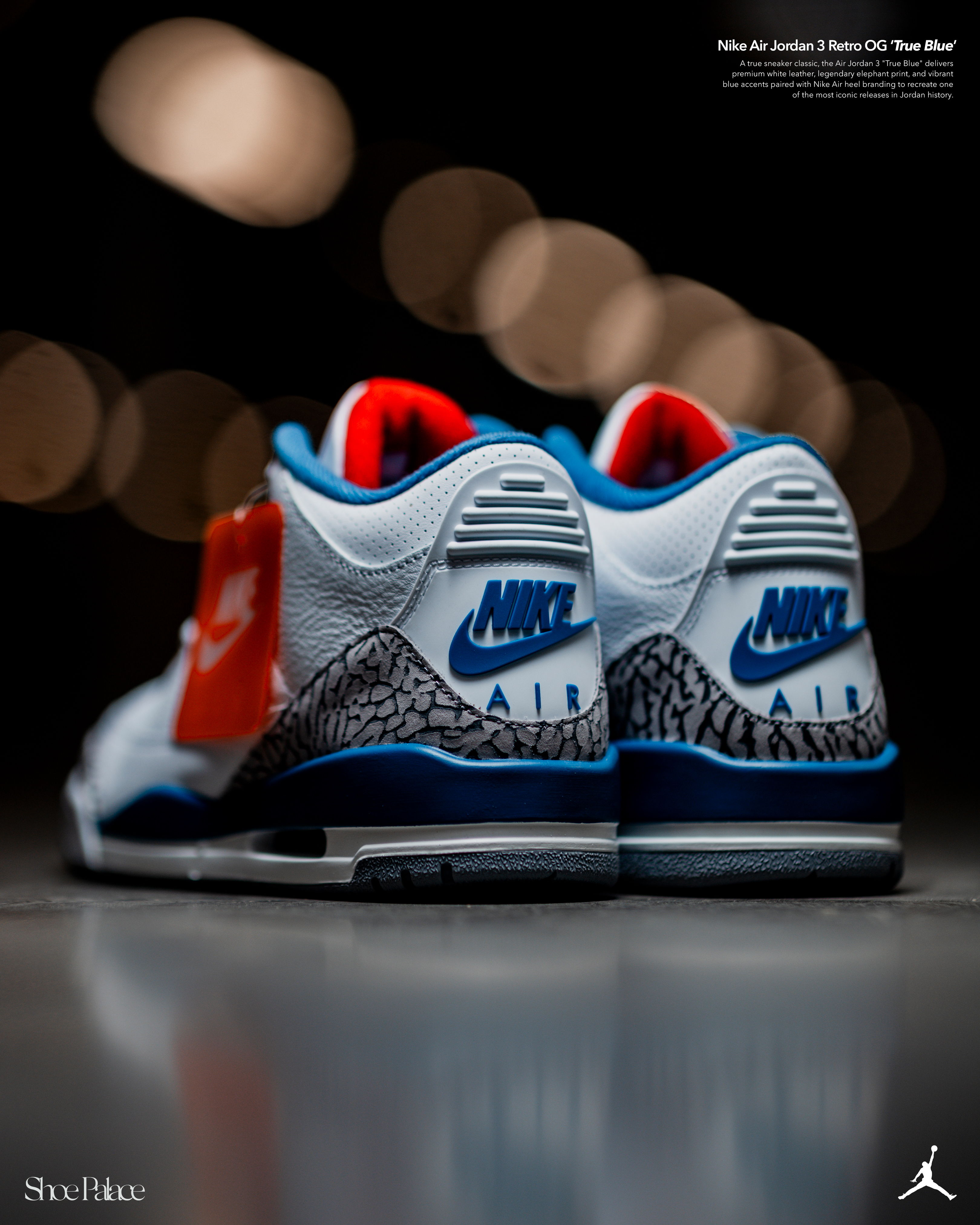 Rear view of white and blue Nike Air Jordan sneakers.