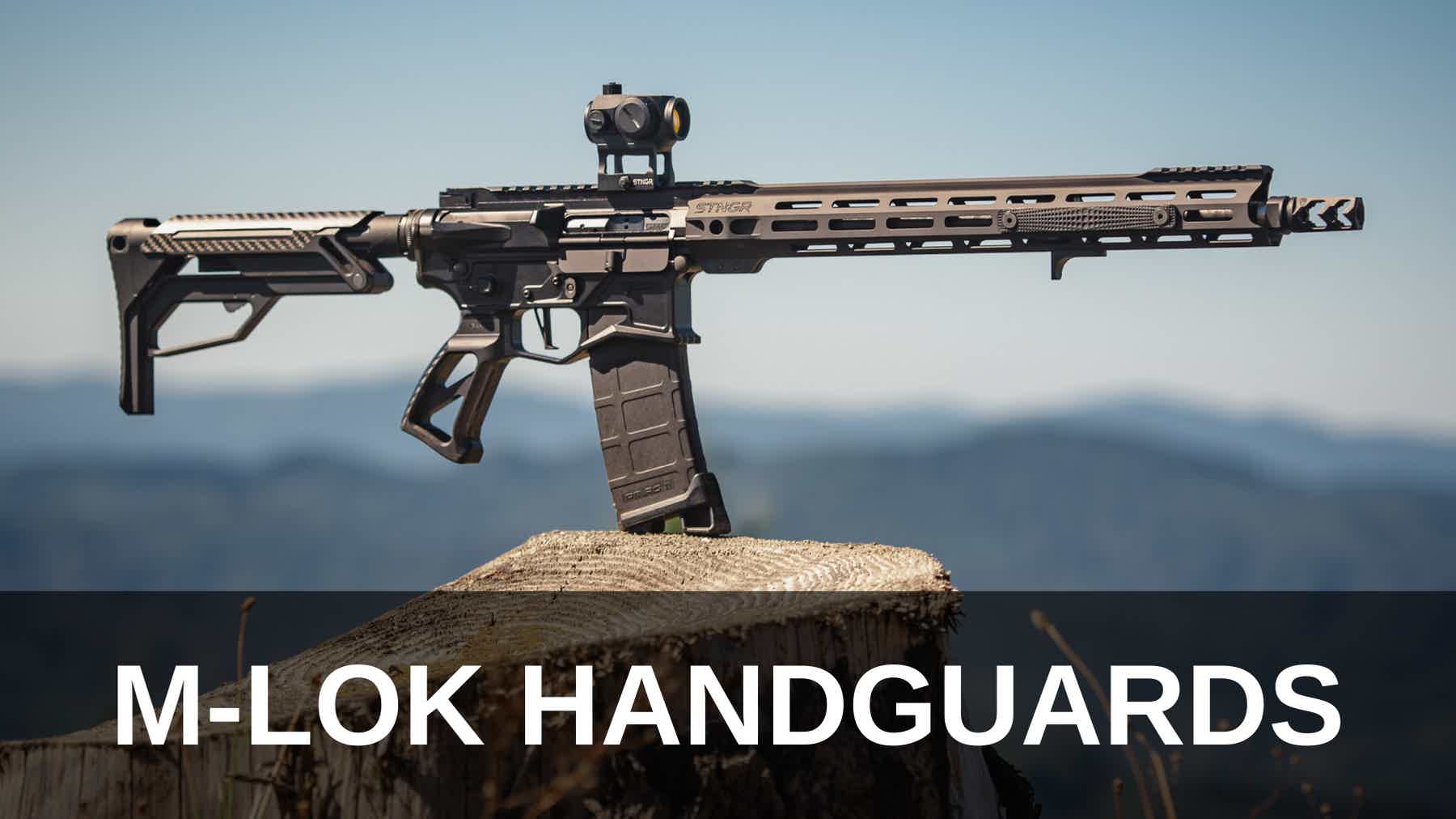 Picture of gun with AR-15 Handguard