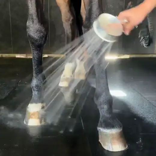 Step 1 - Hose your horses hooves