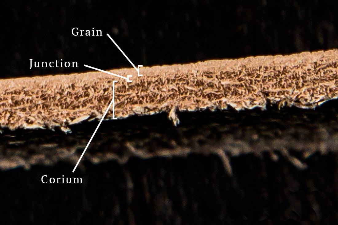 nubuck leather structure