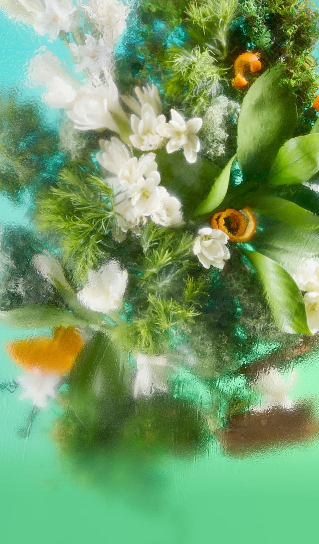 Revived Floral