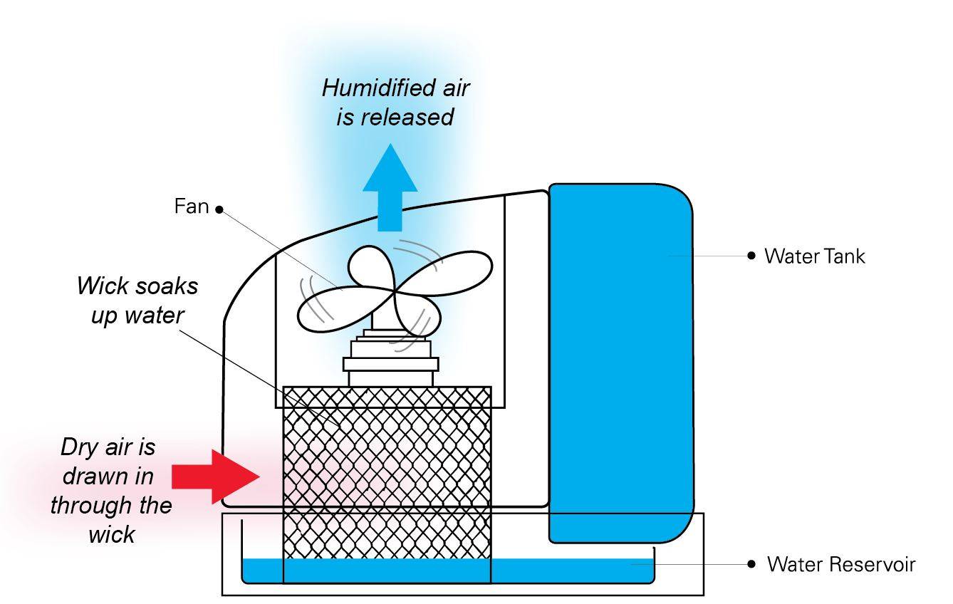 How an evaporative humidifier works