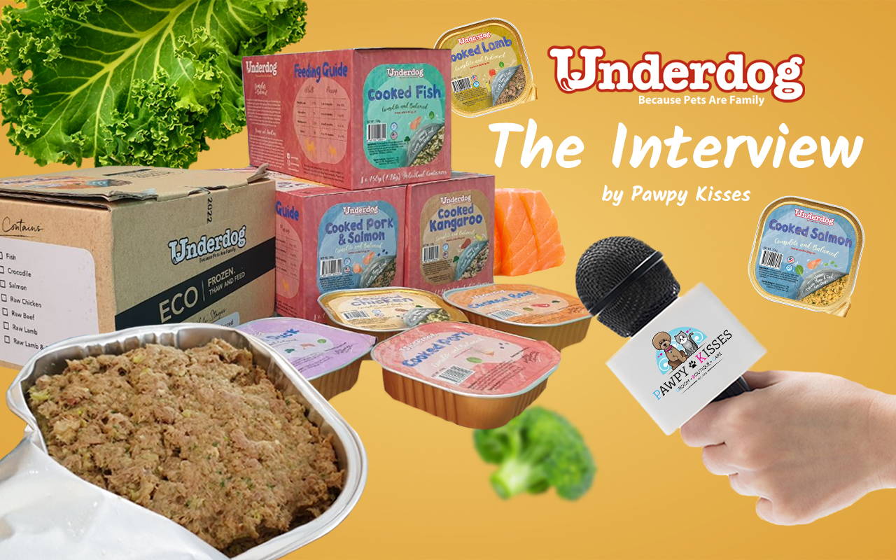 Interview with Underdog Fresh Dog Food by Pawpy Kisses.