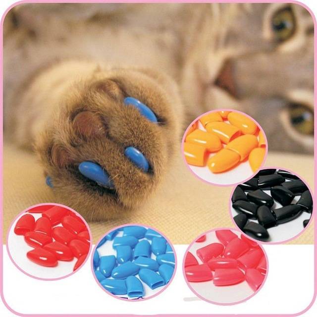 Cat claw Caps