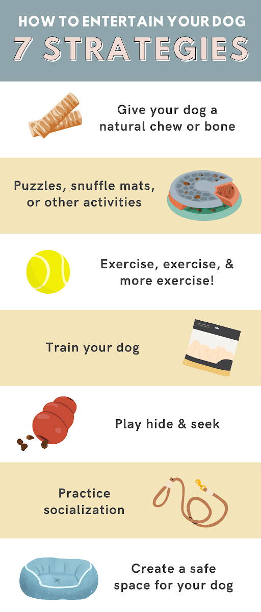 How to entertain your dog with 7 strategies infographic.
