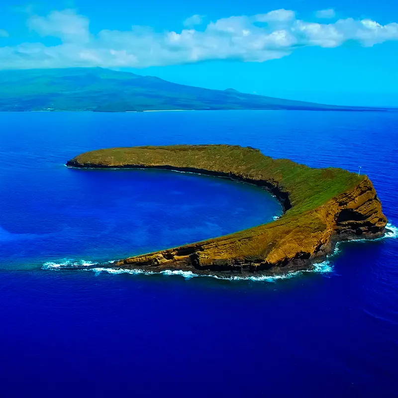 snorkeling excursions on maui