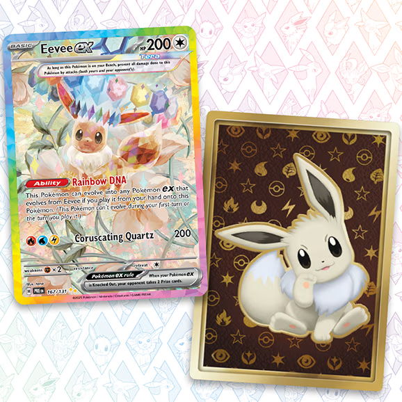 all eevee pokemon cards - Eevee trading card and a decorative card featuring Eevee illustration.