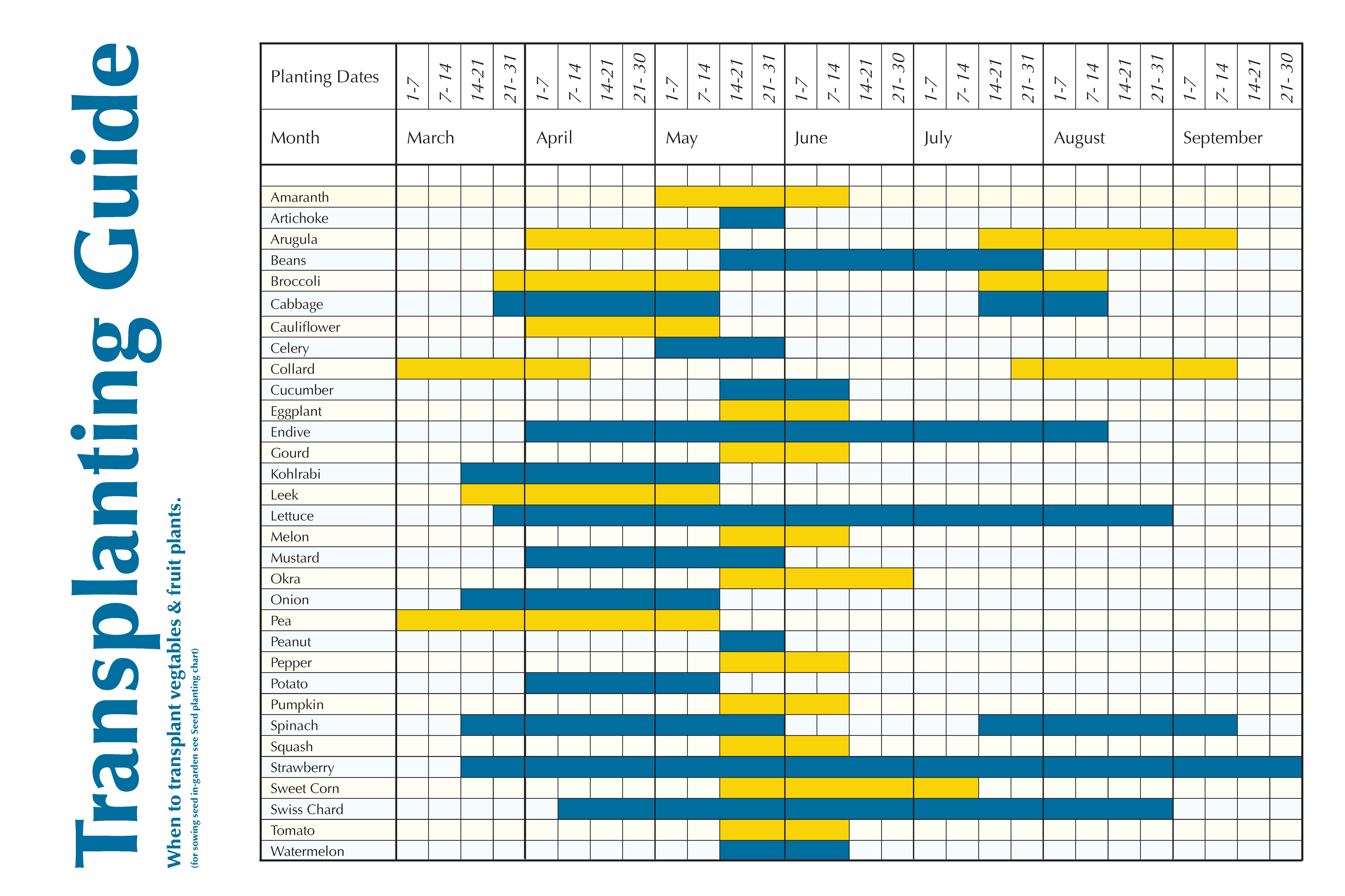 Transplanting guide chart with color-coded timing information for various plants.