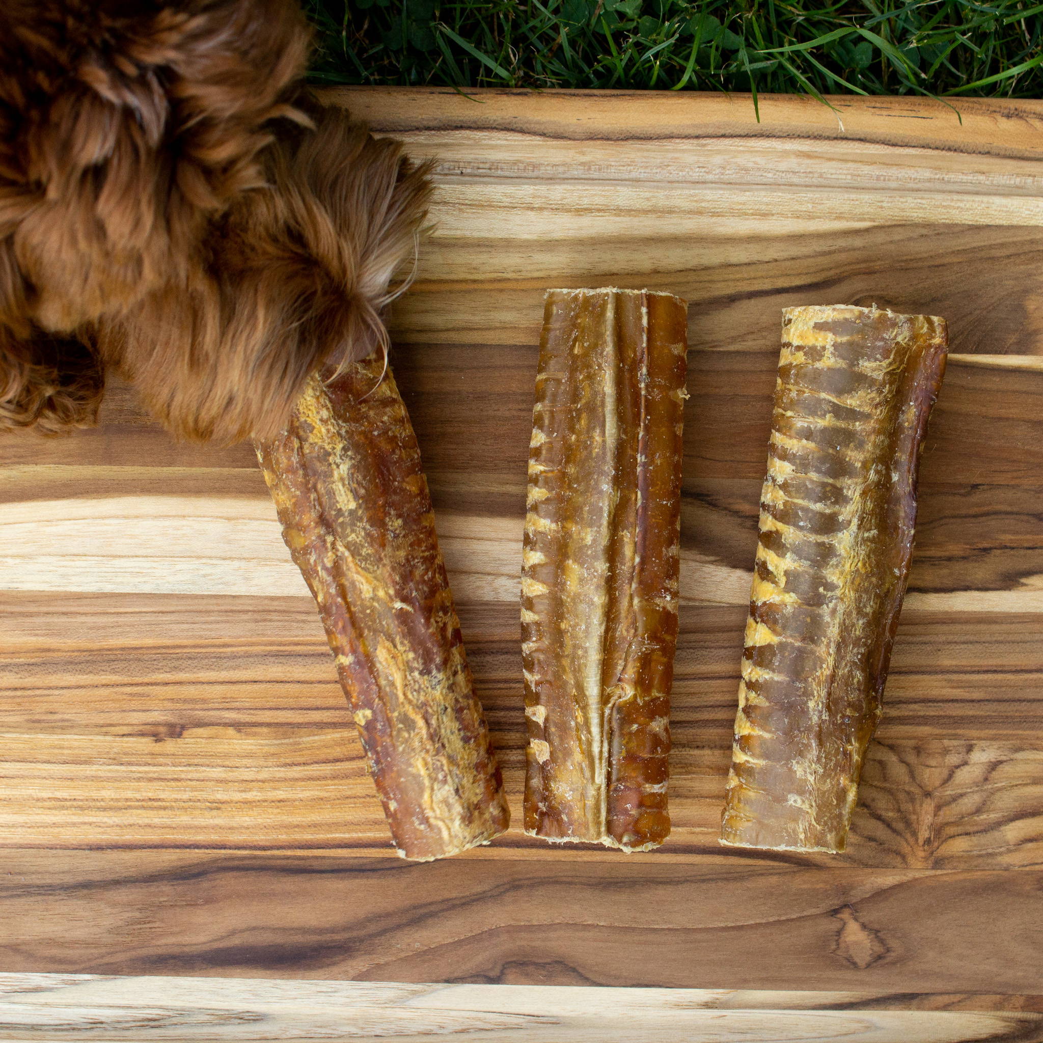 Three beef trachea chews on wood surface with dog sniffing in upper left corner.