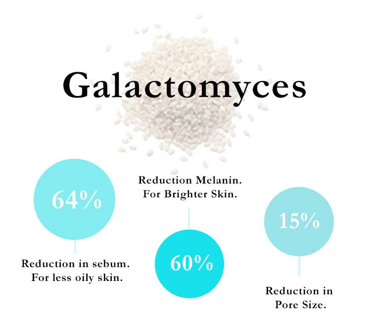 Galactomyces 64% reduction in sebum, for less oily skin. 60% reduction of melanin for brighter skin. 15% reduction in pore sizes.