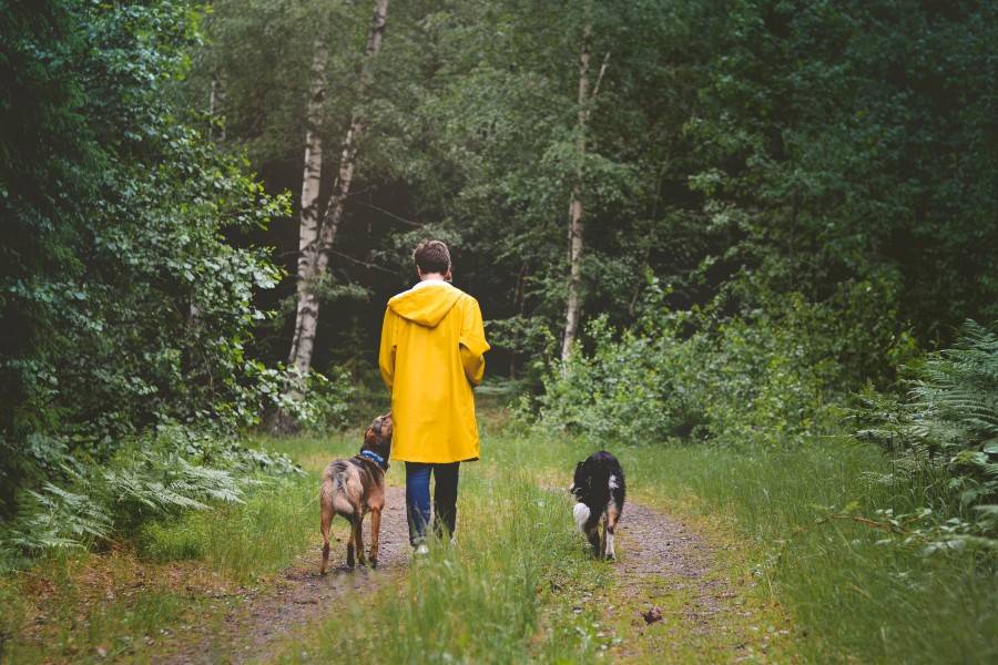 spring nature walk