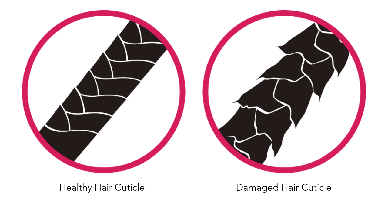 Curls and Humidity: What It Does To Your Curls and Some Tips To Help Handle  It | LUS Brands