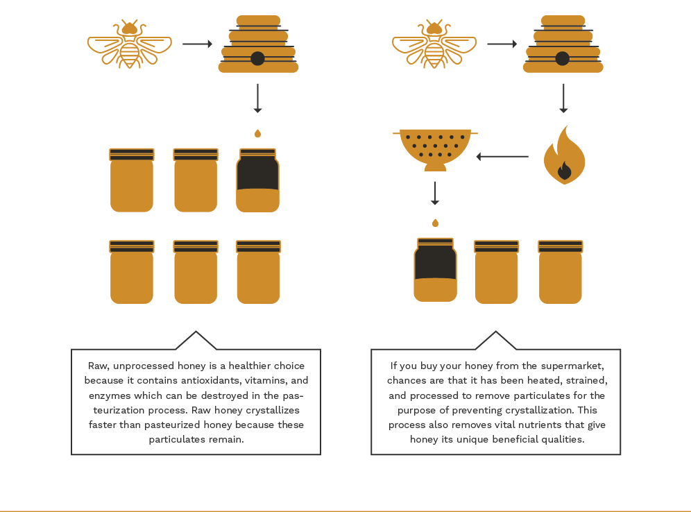 Infographic on honey pasteurization.