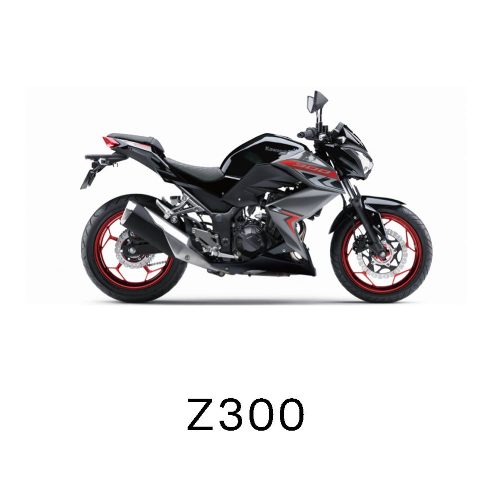 Z300
