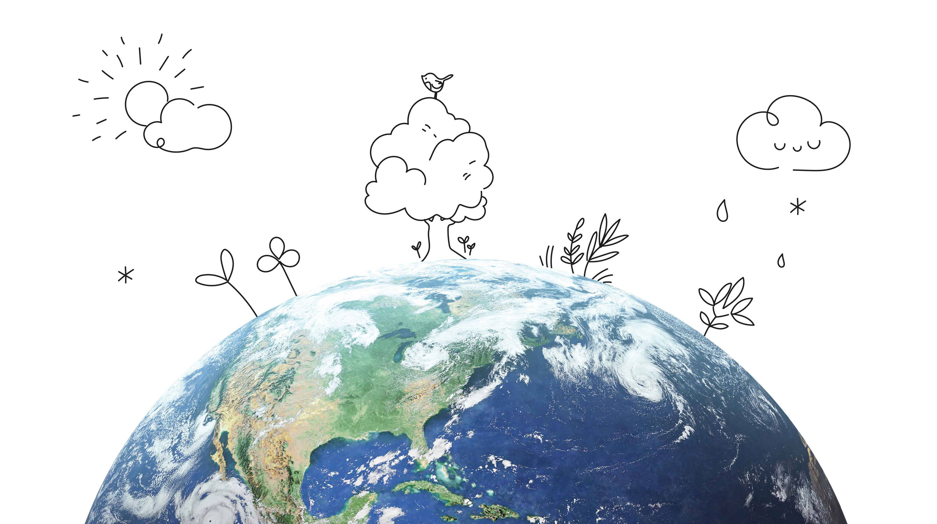sustainable earth with illustrations