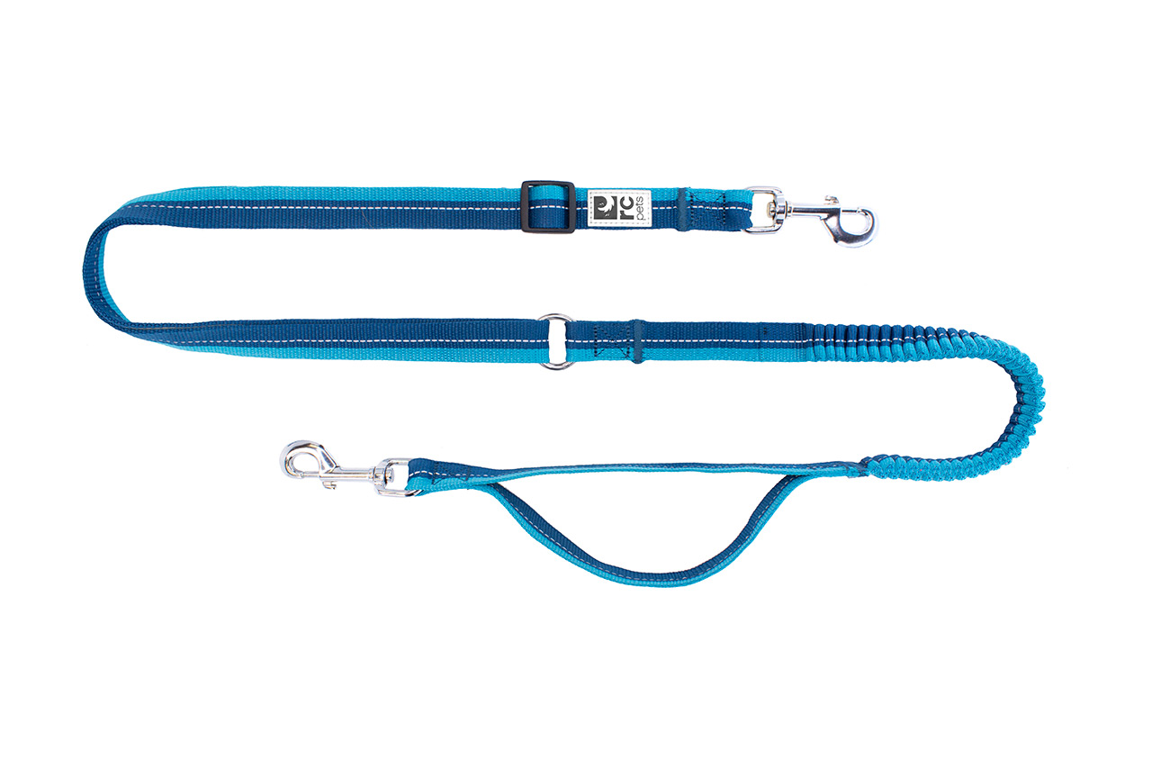 Bungee Active Leash