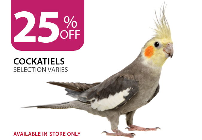 25% Off Cockatiels. Available in-store only