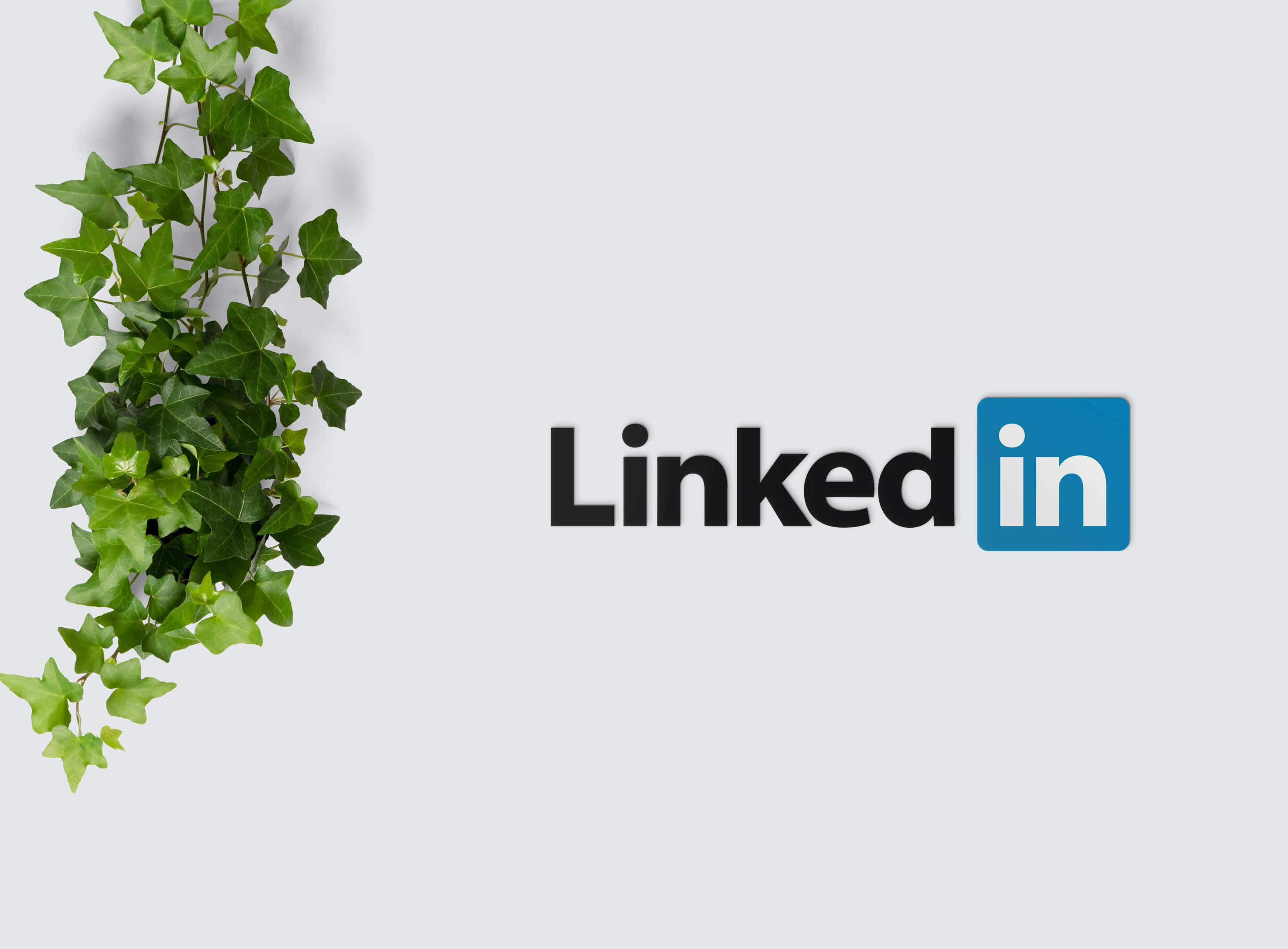 20 Superb LinkedIn Summary Examples | +Writing Guide – CV Nation