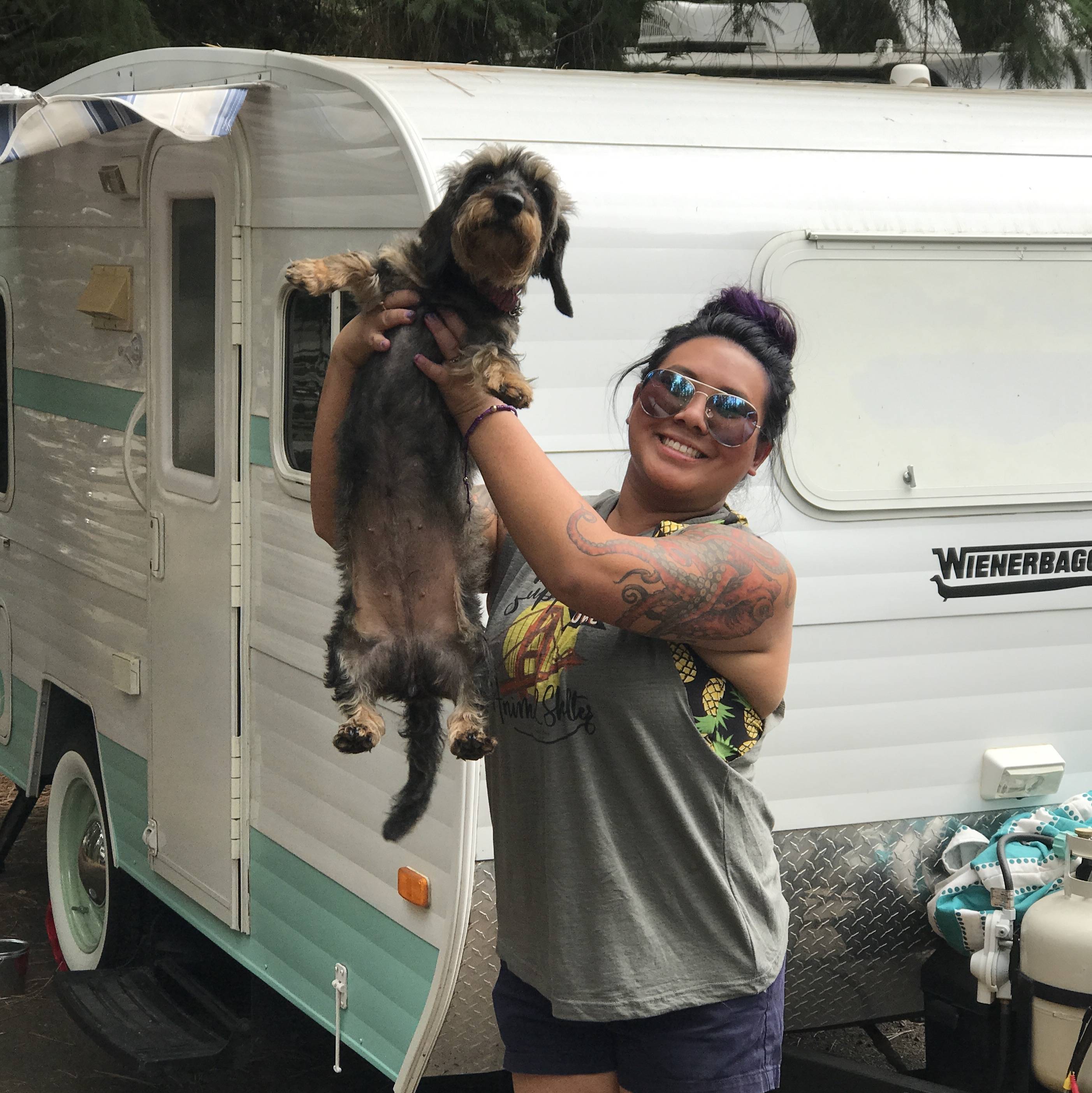 Traveling with your dog by car and RV