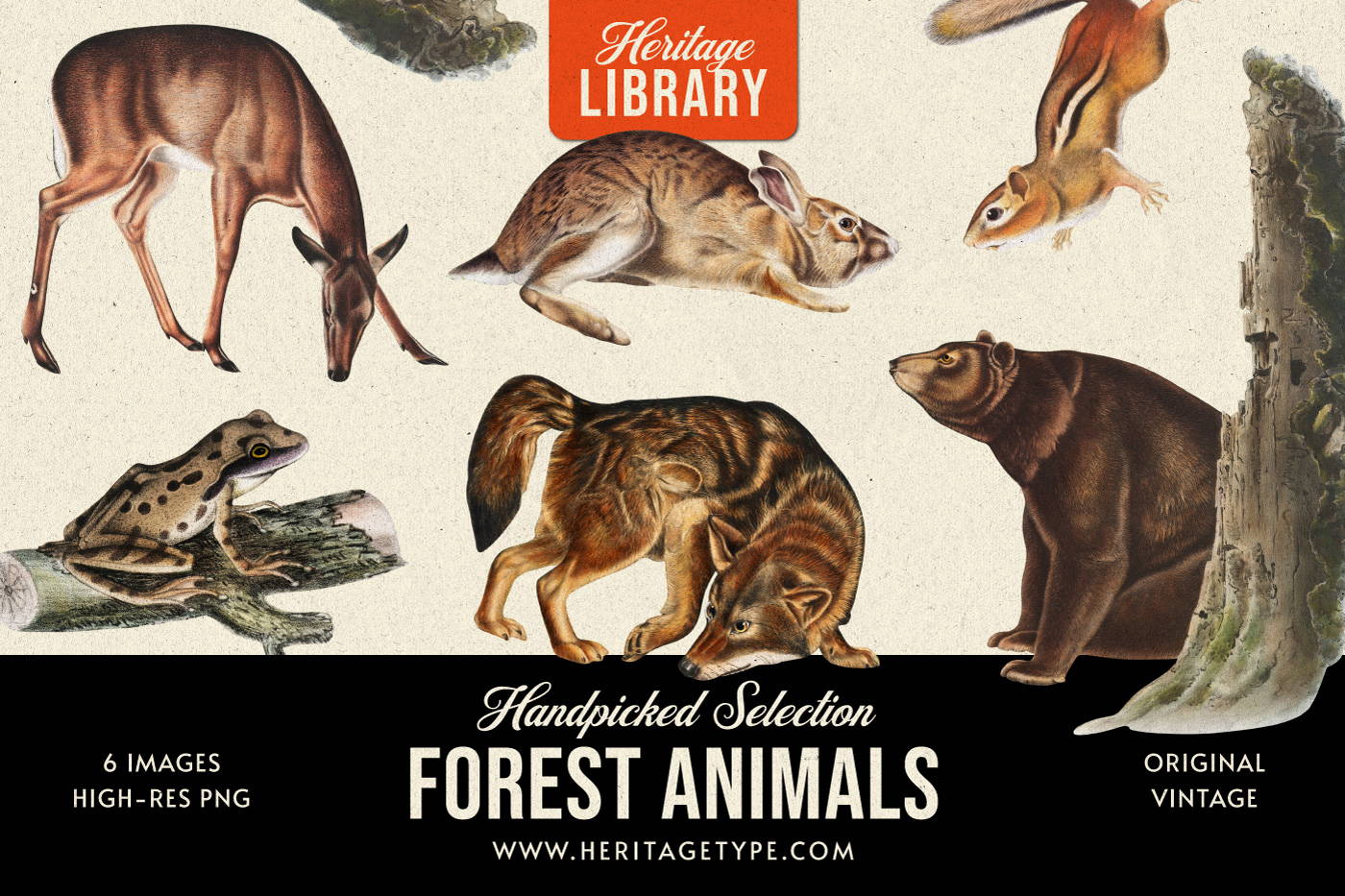 Forest Animals - Free Illustrations– Heritage Type Co.