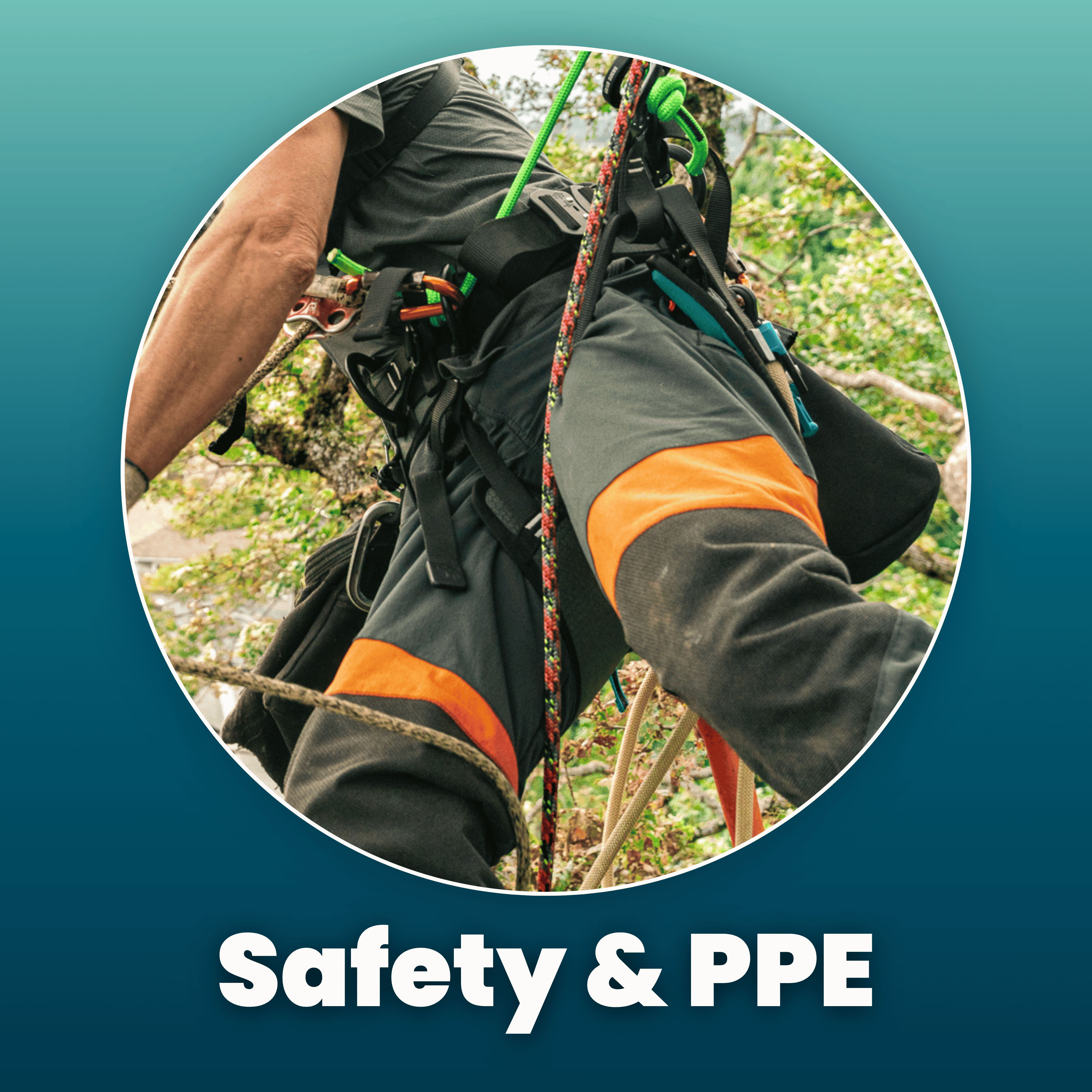 Person wearing safety gear in a tree, emphasizing safety and PPE.