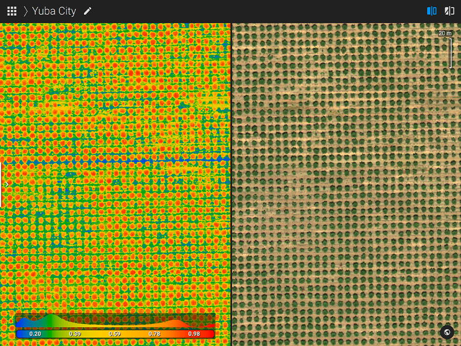 Pix4Dfields Compare