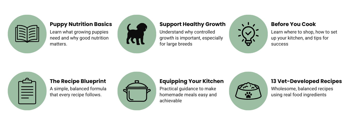 Icons highlighting puppy nutrition, healthy growth, kitchen tips, recipe guidance, cooking tools, and 13 vet-developed recipes.