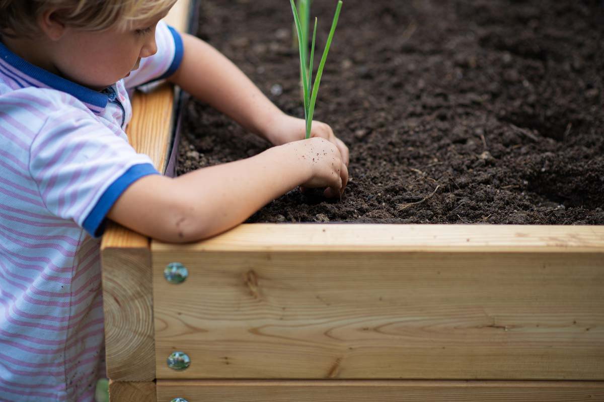 A young child planting in a raised bed